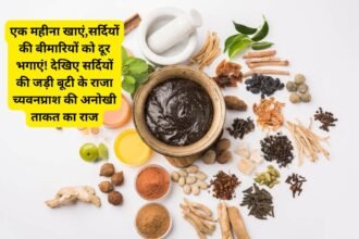 chyawanprash benefits: एक महीना खाएं,सर्दियों की बीमारियों को दूर भगाएं! देखिए सर्दियों की जड़ी बूटी के राजा च्यवनप्राश की अनोखी ताकत का राज