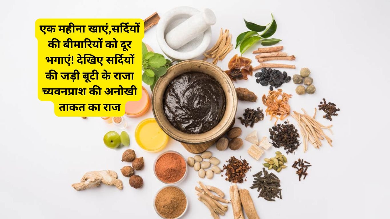 chyawanprash benefits: एक महीना खाएं,सर्दियों की बीमारियों को दूर भगाएं! देखिए सर्दियों की जड़ी बूटी के राजा च्यवनप्राश की अनोखी ताकत का राज