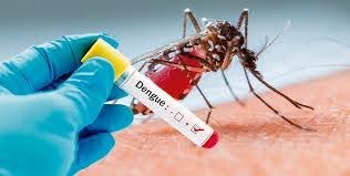 Dengue fever: स्वास्थ्य मंत्रालय की चेतावनी: डेंगू से बचने के लिए अपनाएं ये आसान उपाय!