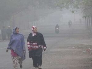 Weather Haryana: हरियाणा में ठंड का कहर जारी: 8 जिलों में तापमान 10 डिग्री से नीचे, घने कोहरे का अलर्ट