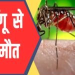 Haryana Dengue Cases: हरियाणा में डेंगू का कहर जारी: पंचकूला में सबसे ज्यादा केस, अब तक 3 की मौत! फॉगिंग पर स्वास्थ्य मंत्री ने उठाए सवाल