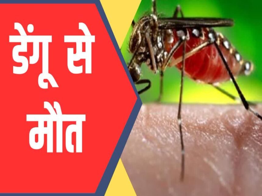 Haryana Dengue Cases: हरियाणा में डेंगू का कहर जारी: पंचकूला में सबसे ज्यादा केस, अब तक 3 की मौत! फॉगिंग पर स्वास्थ्य मंत्री ने उठाए सवाल