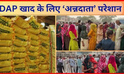 Haryana DAP Crisis: हरियाणा में डीएपी खाद संकट गहराया, कहीं लंबी लाइनें तो कहीं पुलिस सुरक्षा में हो रहा वितरण