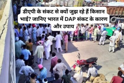 DAP Crisis India: डीएपी के संकट से क्यों जुझ रहे हैं किसान भाई? जानिए भारत में DAP संकट के कारण और उपाय