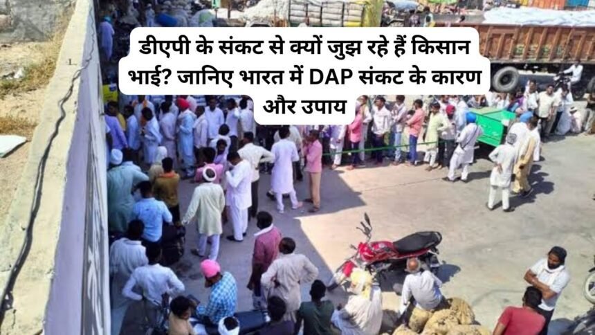 DAP Crisis India: डीएपी के संकट से क्यों जुझ रहे हैं किसान भाई? जानिए भारत में DAP संकट के कारण और उपाय