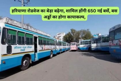 Haryana Roadways new buses :हरियाणा रोडवेज का बेड़ा बढ़ेगा, शामिल होंगी 650 नई बसें, बस अड्डों का होगा कायाकल्प,