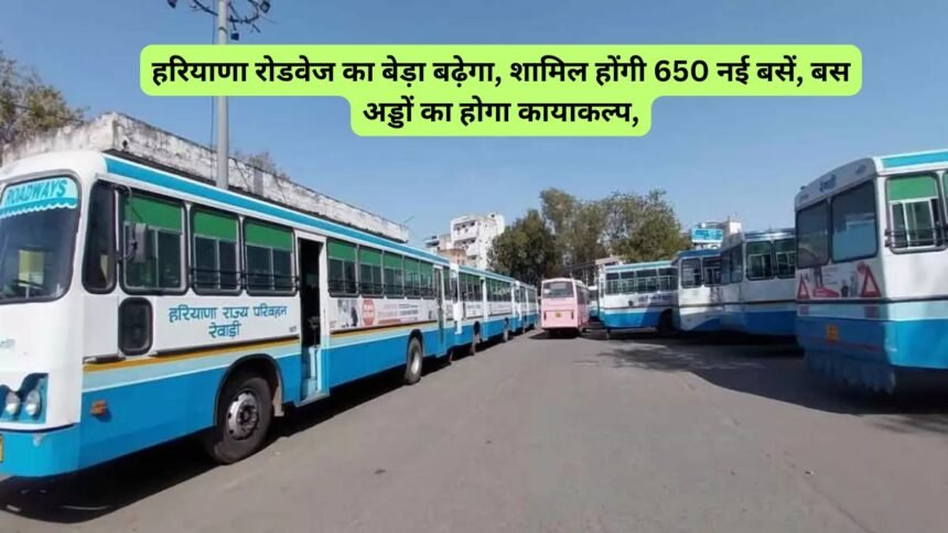 Haryana Roadways new buses :हरियाणा रोडवेज का बेड़ा बढ़ेगा, शामिल होंगी 650 नई बसें, बस अड्डों का होगा कायाकल्प,