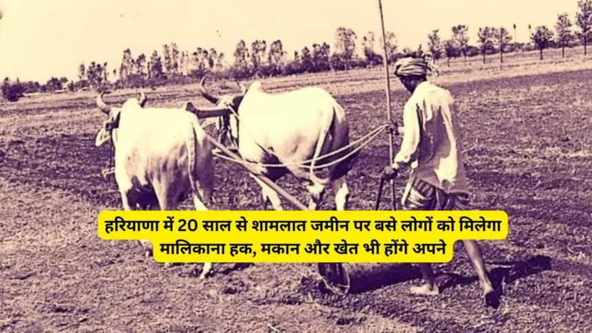 Shamlati Land: हरियाणा में 20 साल से शामलात जमीन पर बसे लोगों को मिलेगा मालिकाना हक, मकान और खेत भी होंगे अपने