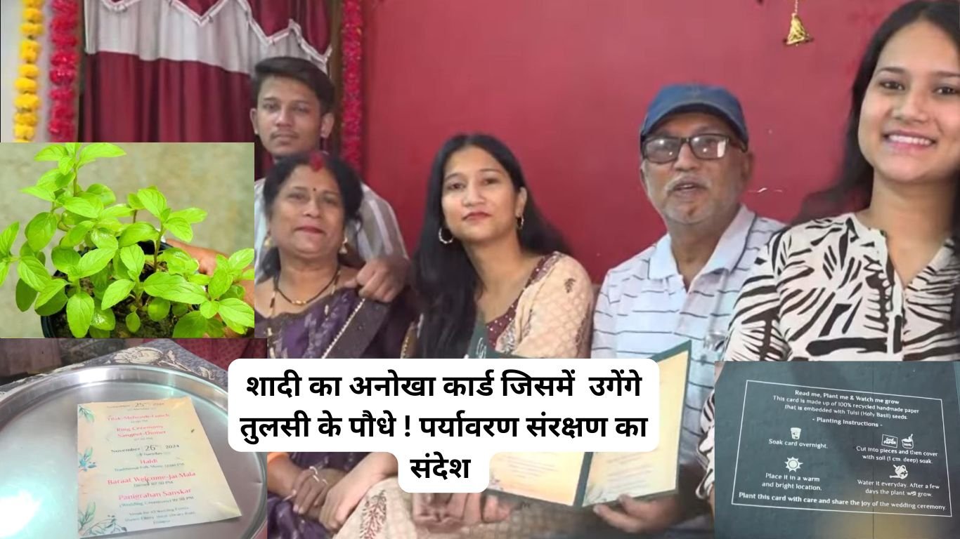 Tulsi wala shaadi ka card : शादी का अनोखा कार्ड जिसमें उगेंगे तुलसी के पौधे ! पर्यावरण संरक्षण का संदेश