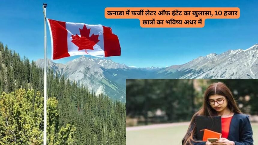 Canada Students Big Update : कनाडा में फर्जी लेटर ऑफ इंटेंट का खुलासा, 10 हजार छात्रों का भविष्य अधर में