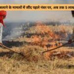 Jind Farmers News : प्रदेश में पराली जलाने के मामलों में जींद पहले नंबर पर, अब तक 5 लाख का जुर्माना