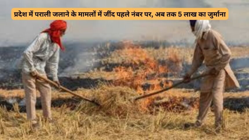 Jind Farmers News : प्रदेश में पराली जलाने के मामलों में जींद पहले नंबर पर, अब तक 5 लाख का जुर्माना