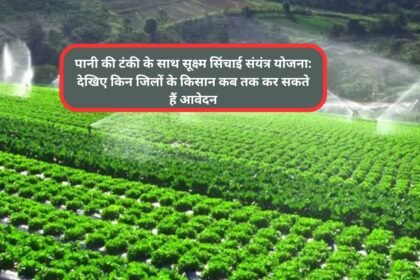 Micro Irrigation Scheme Haryana: पानी की टंकी के साथ सूक्ष्म सिंचाई संयंत्र योजना: देखिए किन जिलों के किसान कब तक कर सकते हैं आवेदन