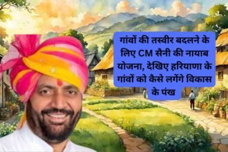 Village Zamin Updates: गांवों की तस्वीर बदलने के लिए CM सैनी की नायाब योजना, देखिए हरियाणा के गांवों को कैसे लगेंगे विकास के पंख