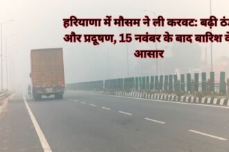 Weather Haryana: हरियाणा में मौसम ने ली करवट: बढ़ी ठंड और प्रदूषण, 15 नवंबर के बाद बारिश के आसार