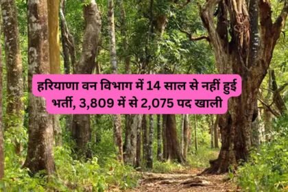 Haryana Government Job:हरियाणा वन विभाग में 14 साल से नहीं हुई भर्ती, 3,809 में से 2,075 पद खाली