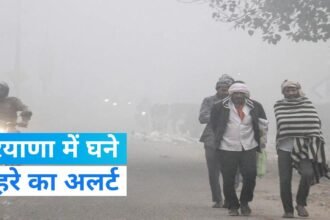 Weather Haryana: हरियाणा में ठंड का कहर जारी: 8 जिलों में तापमान 10 डिग्री से नीचे, घने कोहरे का अलर्ट