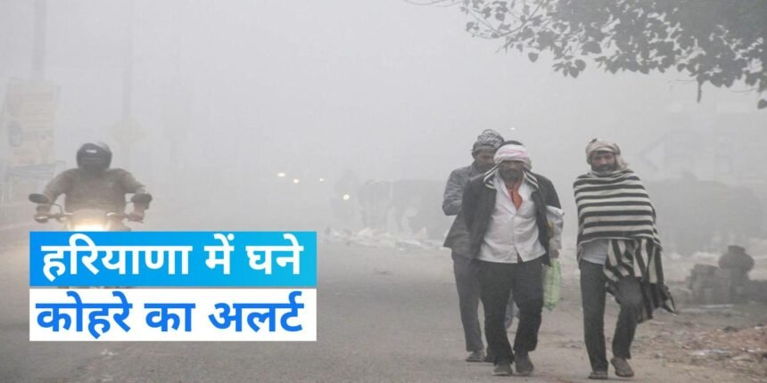 Weather Haryana: हरियाणा में ठंड का कहर जारी: 8 जिलों में तापमान 10 डिग्री से नीचे, घने कोहरे का अलर्ट