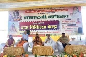 Haryana News: अब सड़कों पर गायों को बेसहारा छोड़ने पर लगेगा जुर्माना! हरियाणा कैबिनेट मंत्री विपुल गोयल का सख्त निर्देश