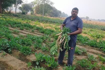 Farmer Success Story: सिरसा के किसान की अनूठी खोज: ठेके पर 4 एकड़ जमीन लेकर सालाना 10 लाख की कमाई