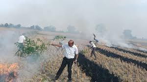 Jind Farmers News : प्रदेश में पराली जलाने के मामलों में जींद पहले नंबर पर, अब तक 5 लाख का जुर्माना