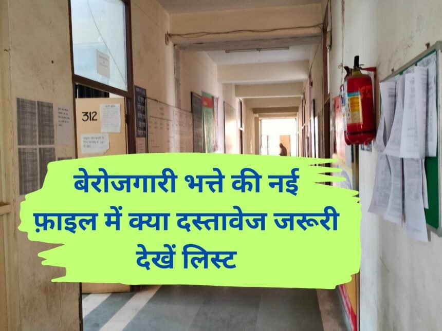 To get unemployment allowance, the file will be submitted to the employment office by 30th November, what documents are necessary?
