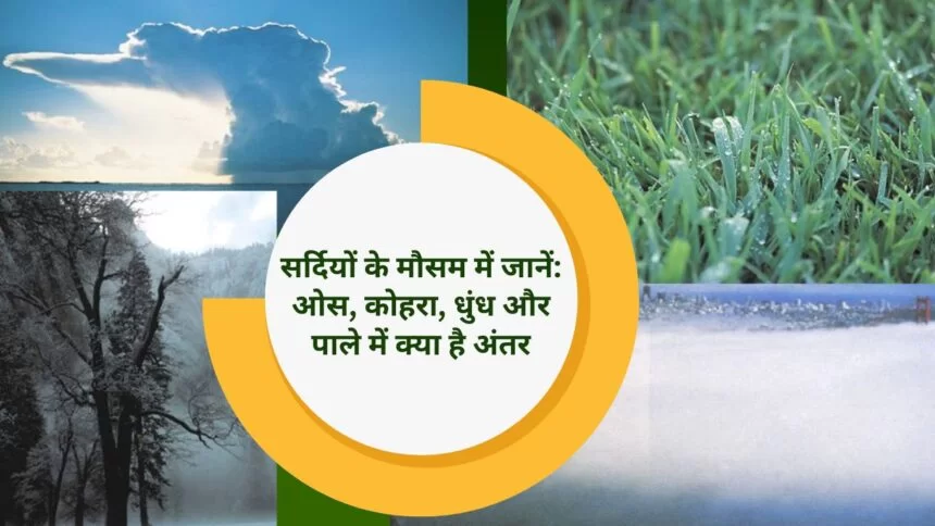 Dew Fog Smog Frost: सर्दियों के मौसम में जानें: ओस, कोहरा, धुंध और पाले में क्या है अंतर