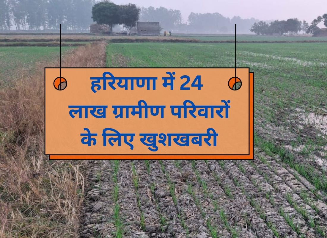 Gram Panchayat Patta Yojana, great news for landless rural families! 58 lakh rural families will get land on lease