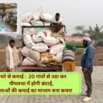 Earning from garbage: Garbage will be collected from all 20 villages of Ujhana block of Jind and sorted in Pipaltha, garbage becomes the medium of earning for women.