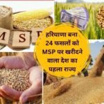 Good news for farmers, Haryana becomes the first state in the country to buy 24 crops at MSP