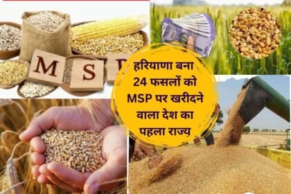 Good news for farmers, Haryana becomes the first state in the country to buy 24 crops at MSP