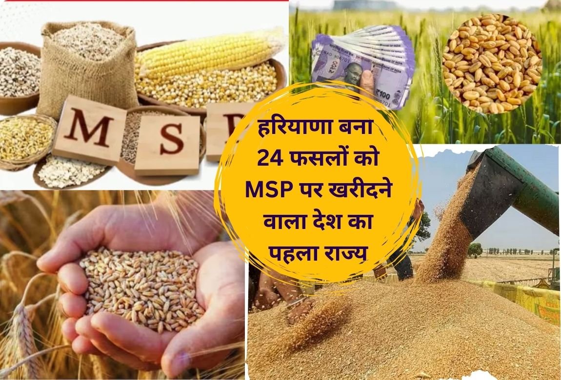 Good news for farmers, Haryana becomes the first state in the country to buy 24 crops at MSP