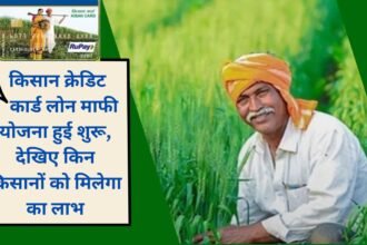 Good news for farmers, Kisan Credit Card Loan Waiver Scheme started, see which farmers will get the benefit of KCC Loan Mafi Yojana 2025.