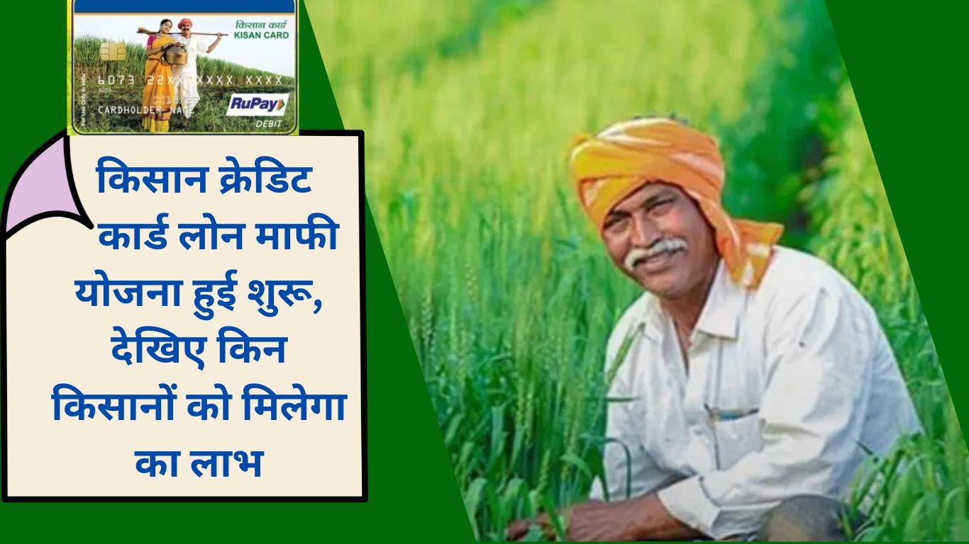 Good news for farmers, Kisan Credit Card Loan Waiver Scheme started, see which farmers will get the benefit of KCC Loan Mafi Yojana 2025.