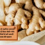 Fake ginger identify: बाजार में बिक रहा है जहरीला अदरक! सेवन से हो सकती हैं कैंसर जैसी गंभीर बीमारियां, इन तरीकों से करें असली और नकली अदरक की पहचान