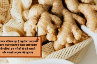 Fake ginger identify: बाजार में बिक रहा है जहरीला अदरक! सेवन से हो सकती हैं कैंसर जैसी गंभीर बीमारियां, इन तरीकों से करें असली और नकली अदरक की पहचान