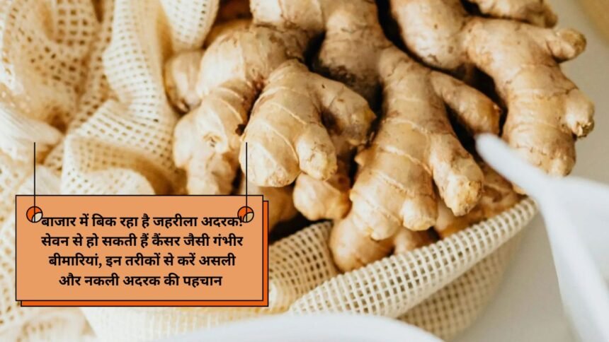 Fake ginger identify: बाजार में बिक रहा है जहरीला अदरक! सेवन से हो सकती हैं कैंसर जैसी गंभीर बीमारियां, इन तरीकों से करें असली और नकली अदरक की पहचान