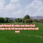 Kisan Pesticides News: कृषि विशेषज्ञों की अपील: साफ मौसम में करें पेस्टीसाइड का स्प्रे; ये है खरपतवार खत्म करने का सही समय