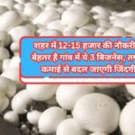 Village Business Ideas: शहर में 12-15 हजार की नौकरी से बेहतर है गांव में ये 3 बिजनेस, तगड़ी कमाई से बदल जाएगी जिंदगी