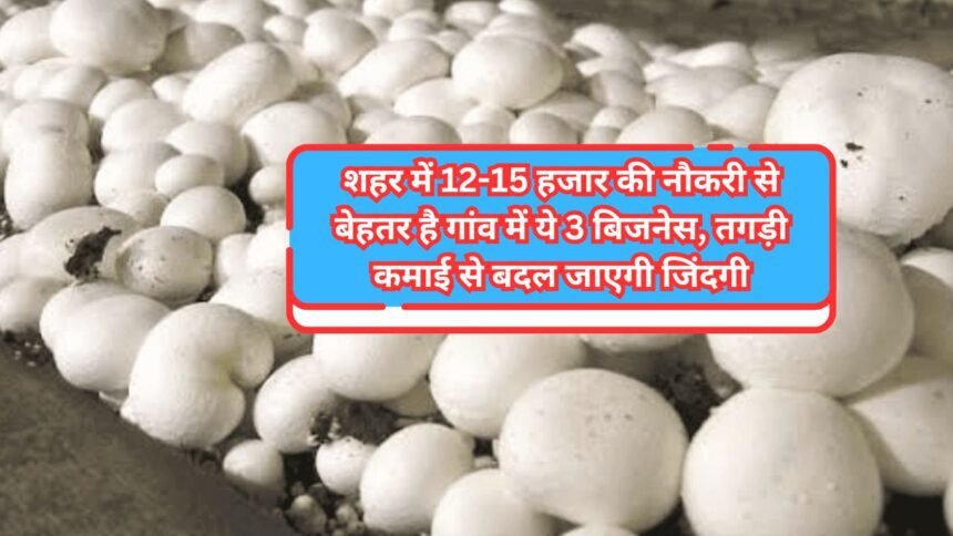 Village Business Ideas: शहर में 12-15 हजार की नौकरी से बेहतर है गांव में ये 3 बिजनेस, तगड़ी कमाई से बदल जाएगी जिंदगी