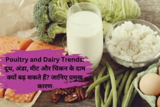 Poultry and Dairy Trends: दूध, अंडा, मीट और चिकन के दाम क्यों बढ़ सकते हैं? जानिए प्रमुख कारण