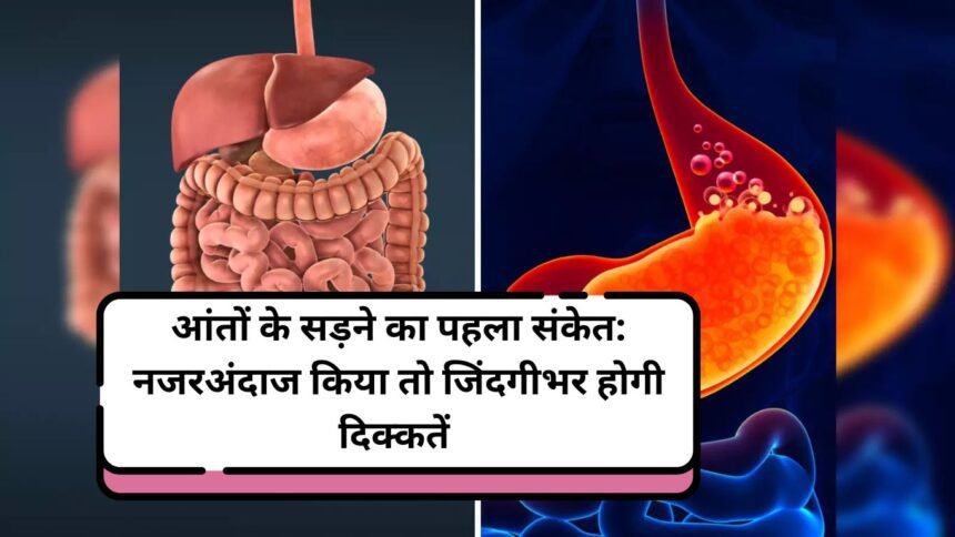 Rooted Intestine: आंतों के सड़ने का पहला संकेत: नजरअंदाज किया तो जिंदगीभर होगी दिक्कतें