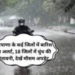 Haryana weather update : हरियाणा के कई जिलों में बारिश का अलर्ट, 18 जिलों में धुंध की चेतावनी, देखें मौसम अपडेट