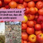 Wild Berries : सर्दियों का सुपरफूड; बाजार में आते ही बिक जाता है ये जंगली फल, सेहत और स्वाद का अनमोल खजाना