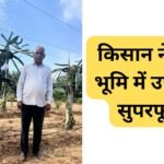 Dragon Fruit Farming Success Story: किसान ने बंजर भूमि में उपजाया सुपरफूड, जानिए राम कुमार यादव की अनोखी खेती की कहानी