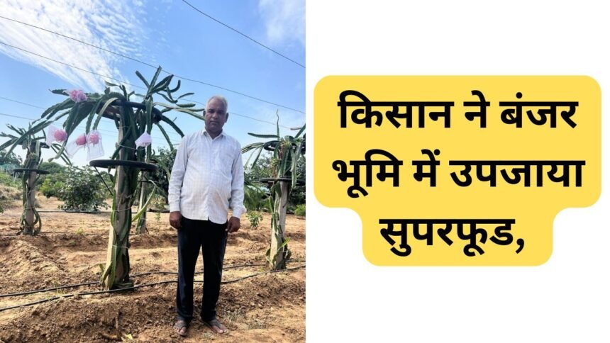 Dragon Fruit Farming Success Story: किसान ने बंजर भूमि में उपजाया सुपरफूड, जानिए राम कुमार यादव की अनोखी खेती की कहानी