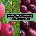 Apple cultivation in the plains Land: मैदानी क्षेत्रों में सेब की खेती: IARI ने बताई गर्म जलवायु क्षेत्रों में सेब की खेती में नए अवसर और किसानों की इनकम बढ़ाने के टिप्स