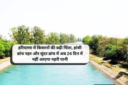 Haryana news, Now canal water will not come in Hansi Branch Canal and Sunder Branch in 24 days.