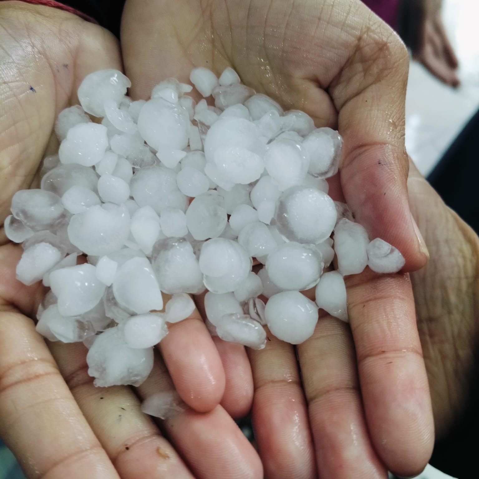 Jind temperature: Average 22.2 mm rainfall in 24 hours in Jind, maximum in Julana, hailstorm in many villages, when will it rain again, see weather update.