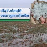 Jind temperature: Average 22.2 mm rainfall in 24 hours in Jind, maximum in Julana, hailstorm in many villages, when will it rain again, see weather update.